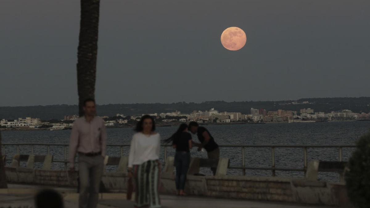 Un eclipse de luna en Mallorca