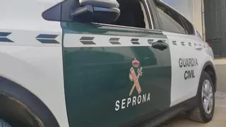 Cuatro personas, investigadas por irregularidades en la gestión de gases en desguaces de Salamanca