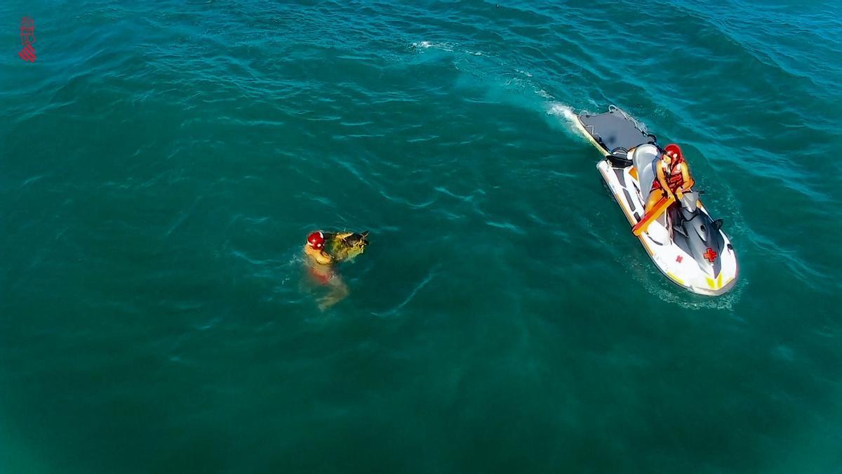 Rescatan con un dron a una tortuga marina atrapada en una red