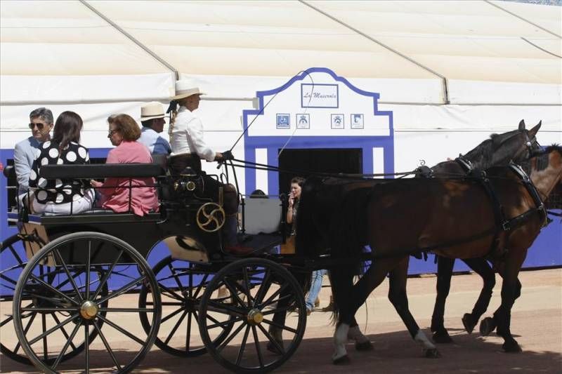 FOTOGALERÍA / LUNES DE FERIA EN EL ARENAL