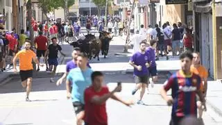 Estos son los seis toros del encierro de Sant Pere 2025 de Castelló y el cartel anunciador