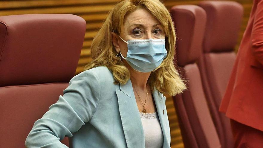 La presidenta del Colegio de Médicos de València, Mercedes Hurtado, antes de iniciar su intervención en las Corts, ayer.
