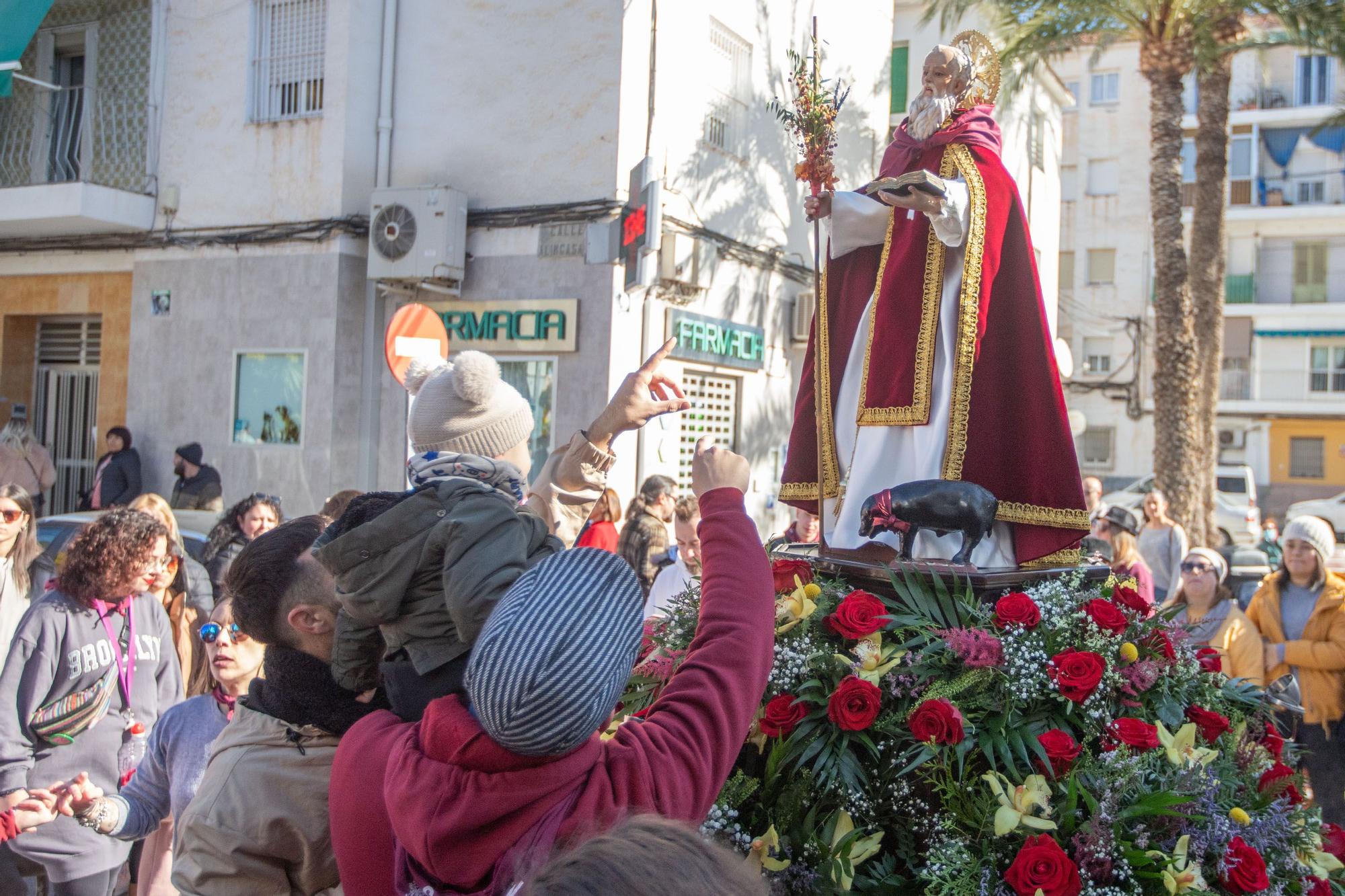 Romería y Bendición de animales en San Antón de Elche