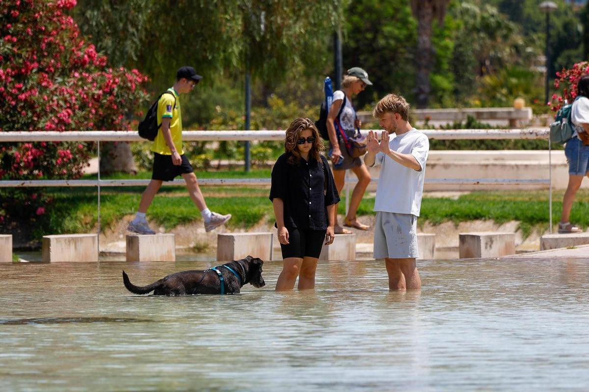 Aunque las temperaturas máximas sufrirán un ligero descenso en el interior de Valencia y extremo sur de Alicante, la humedad hará que la sensación térmica sea extrema.
