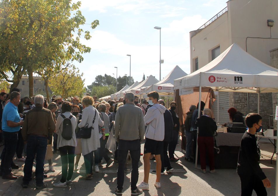 Fira de la mongeta de Castellfollit del Boix