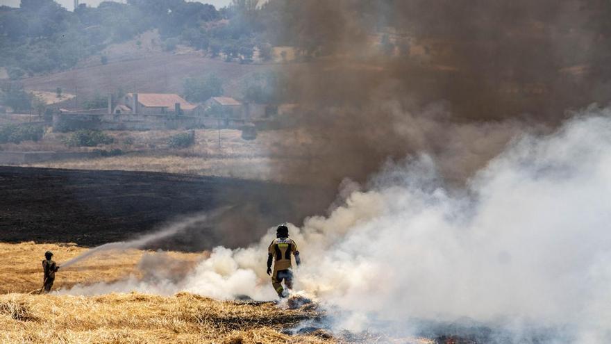Los bomberos luchan contra un incendio que se ha reactivado 