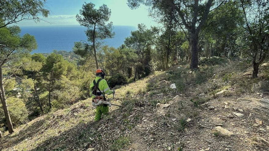 El Consell completa les franjes contra incendis des d'Amer a Vilobí d'Onyar