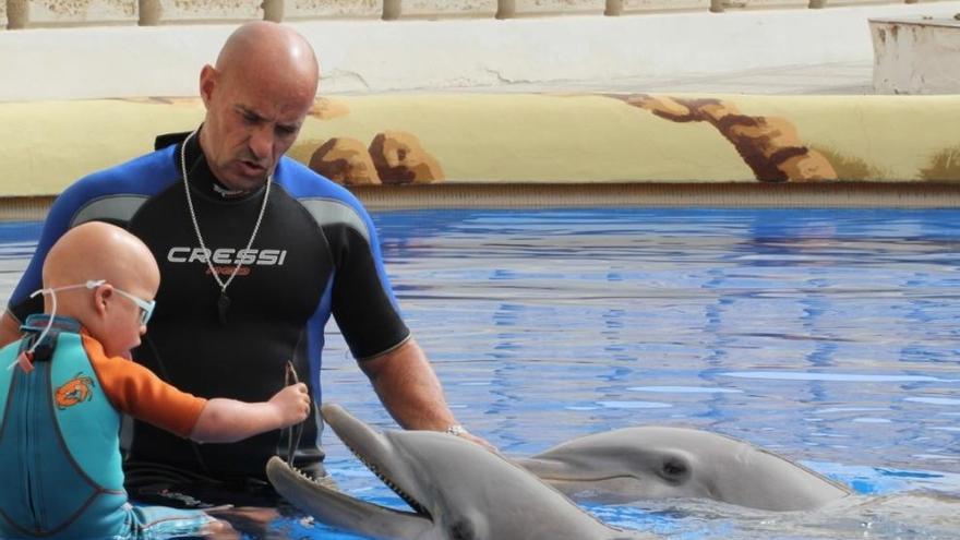 José Luís Barbero während seiner Tätigkeit als Delfintrainer im Marineland in Puerto Portals.