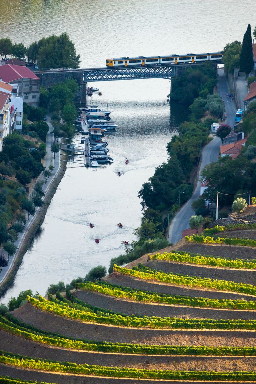 Valle del Duero, tren y río Duero.