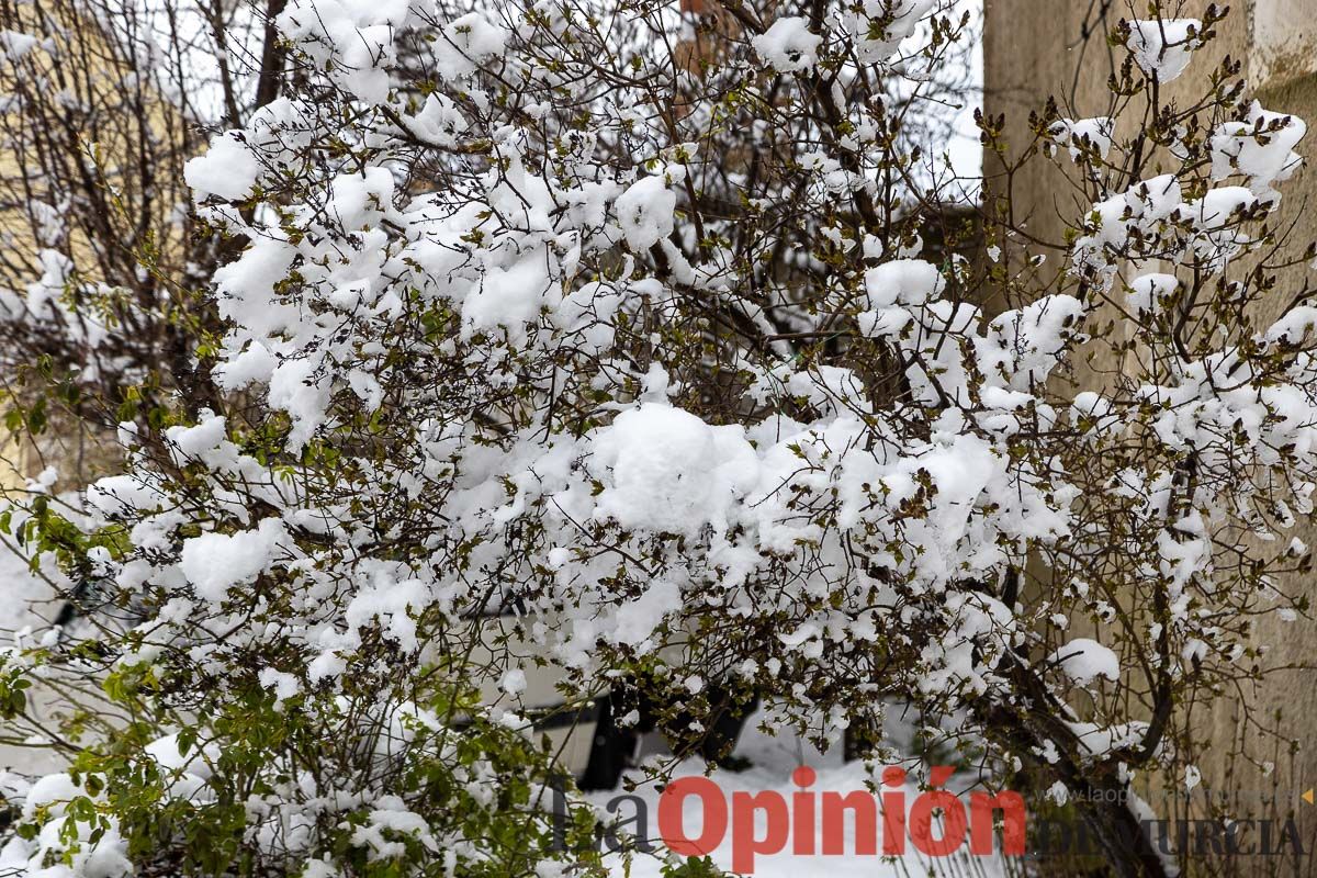 La comarca del Noroeste ofrece una estampa invernal