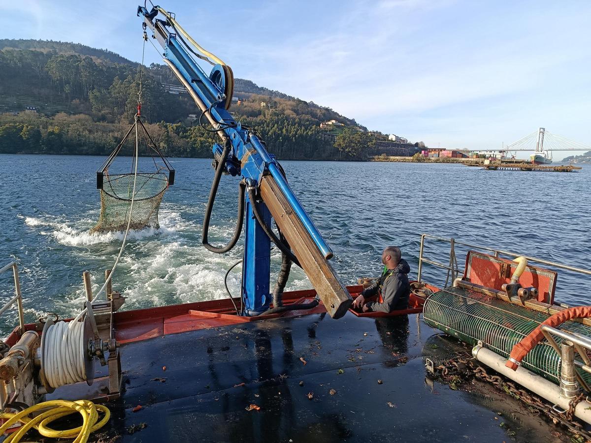 Un barco de volandeira en la ría de Vigo, con Rande al fondo.