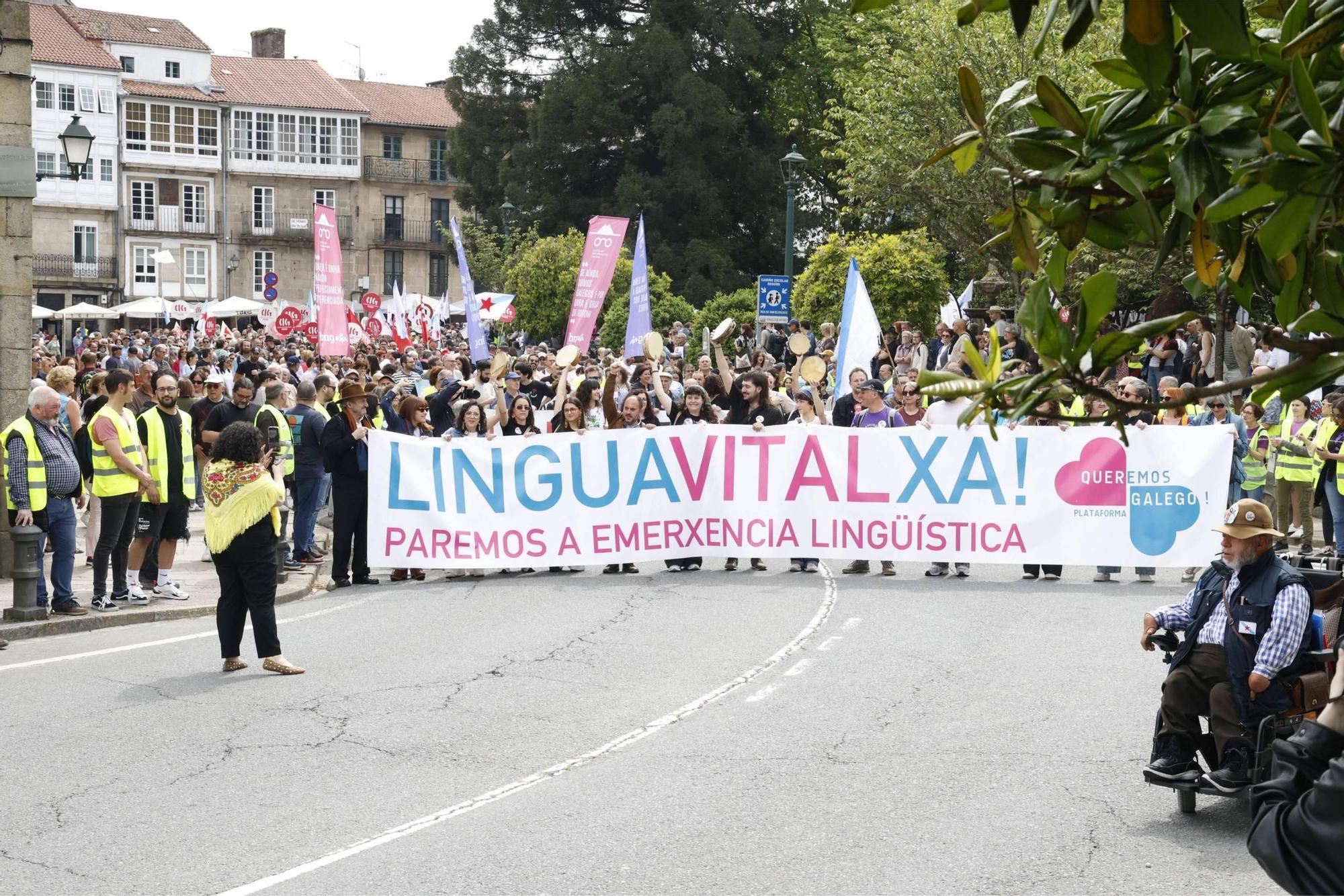 Miles de persoas toman as rúas de Santiago en defensa do galego
