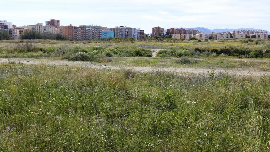 El PP pide al Gobierno que le ceda las viviendas de la Sareb en Málaga