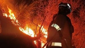 Els Bombers miren d’estabilitzar el flanc actiu de l’incendi de Canejan