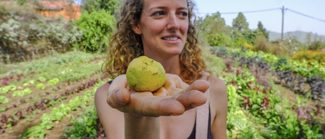 Visita a Ecohuerta Canaria