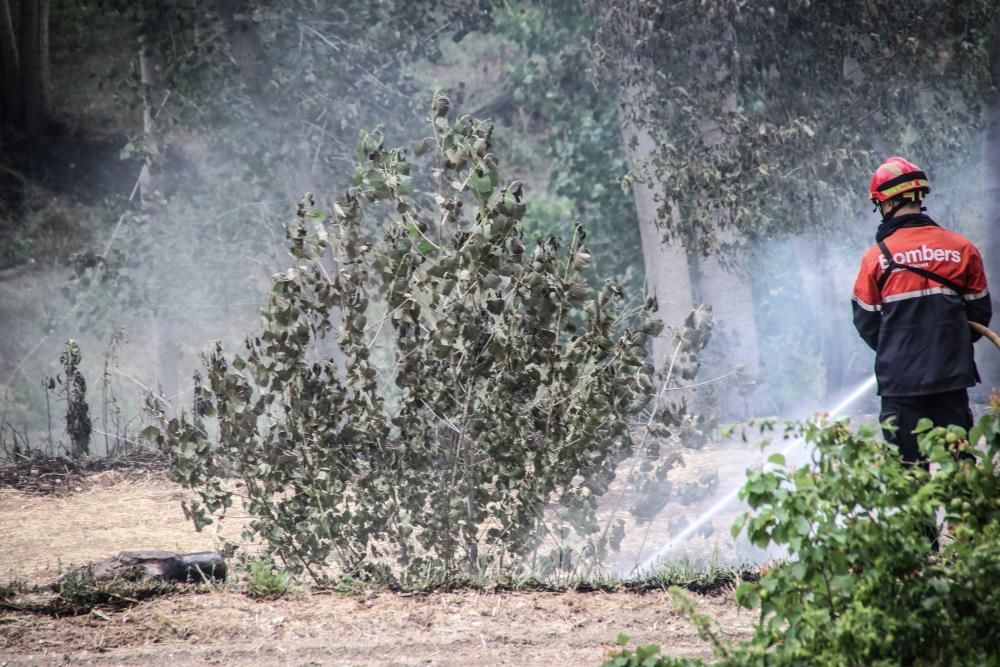 Incendio forestal en Muro