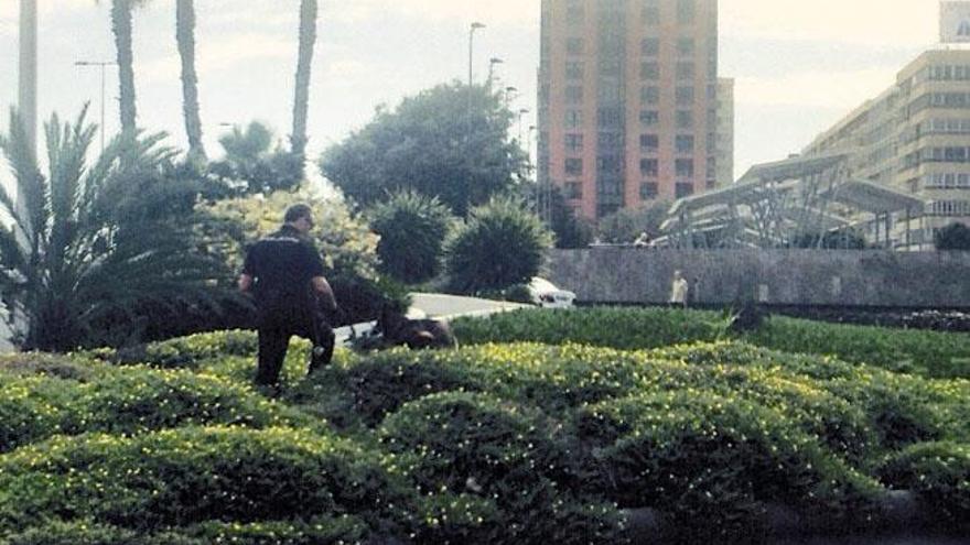 Un policía nacional rastrea con un perro en los jardines de Alcalde Ramírez Bethencourt donde se halló al joven.