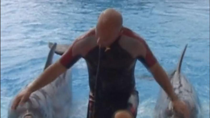 Netflix estrena el documental de dos mallorquines sobre el rey de los delfines