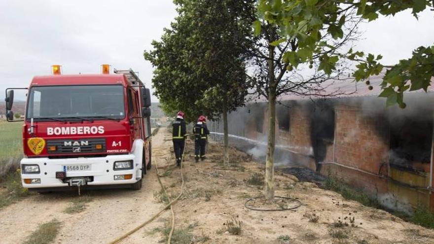 Mueren cerca de 10.000 conejos en un incendio