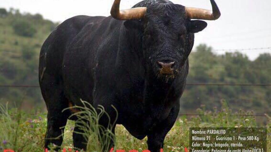 El falso cartel del falso Toro Enmaromado que circula en las redes sociales.