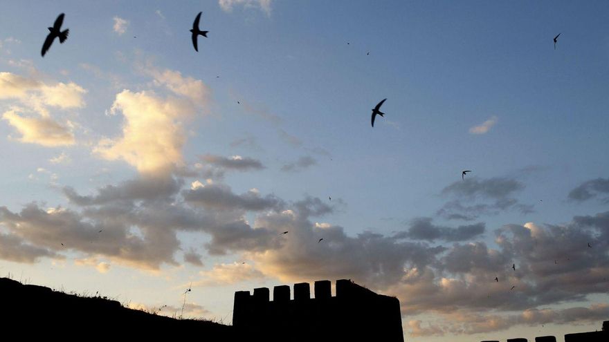 Conflicto con el temple del Concejo de Cáceres en el reinado de Alfonso X el sabio