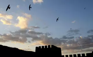 Conflicto con el temple del Concejo de Cáceres en el reinado de Alfonso X el sabio