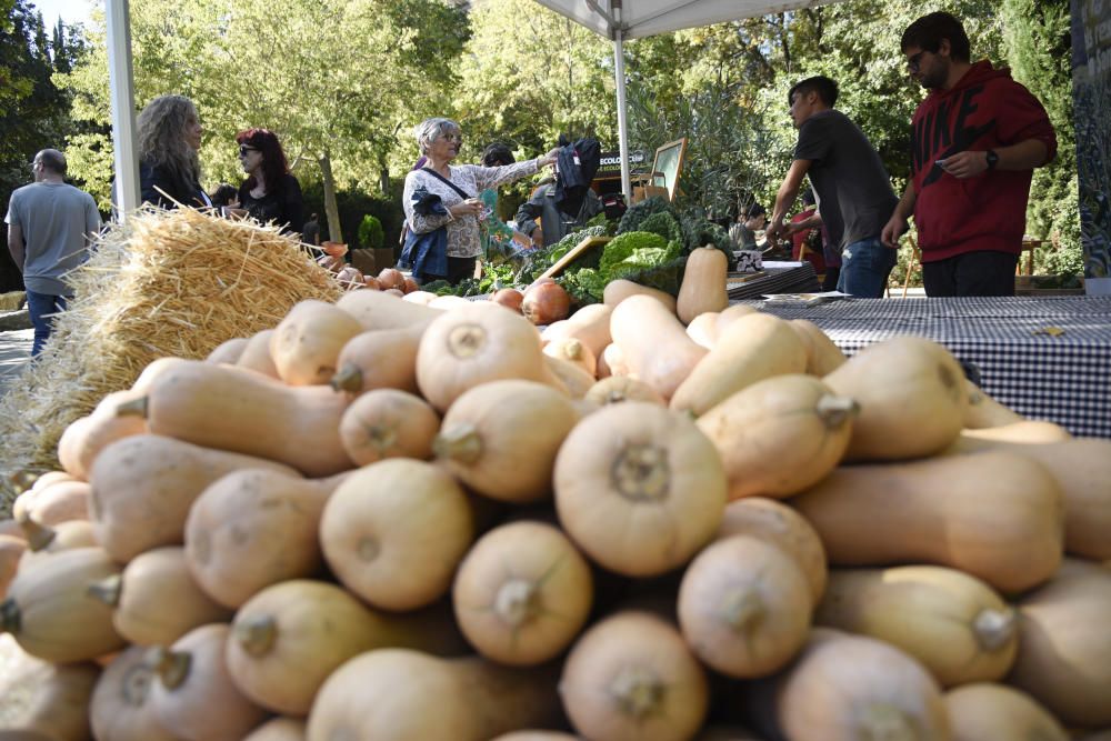 El mercat de Sant Benet, en imatges