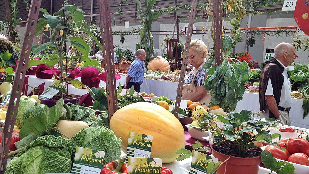 Llanera será el municipio invitado en el Festival de la Huerta de Pravia -  La Nueva España