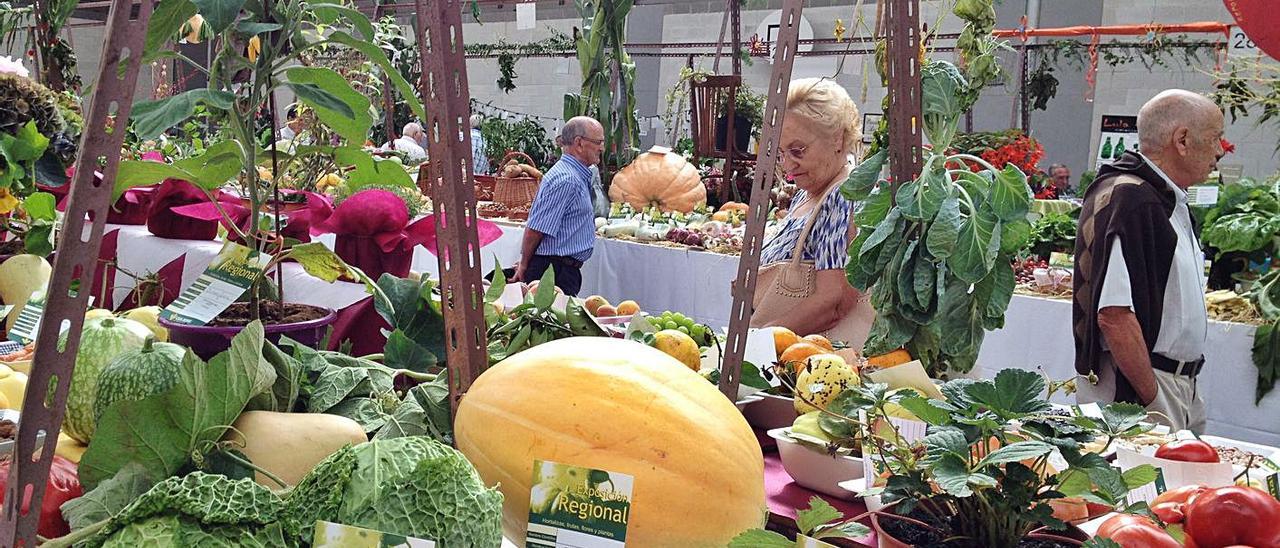 Frutas y verduras de temporada expuestos en un festival de la huerta de Pravia.