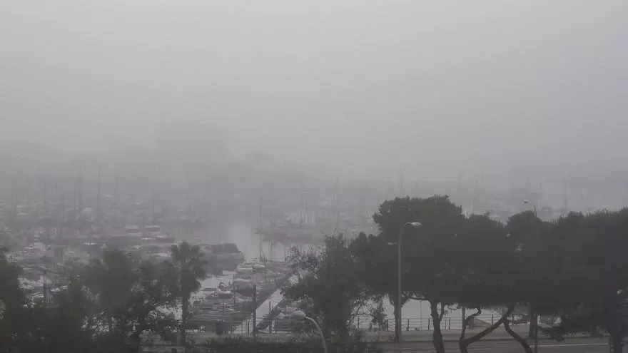 Staunen auf Mallorca: Dichter Nebel nimmt Palma am Sonntagmorgen ein