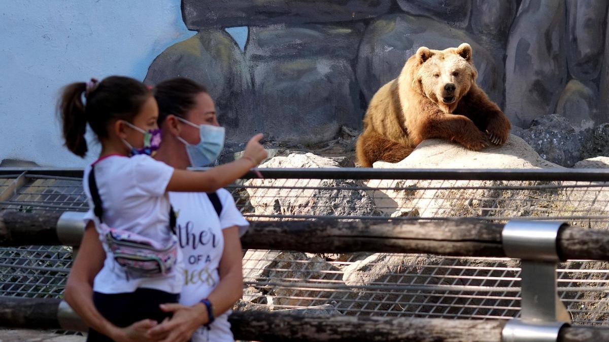 Imagen de archivo del Zoo de Córdoba.