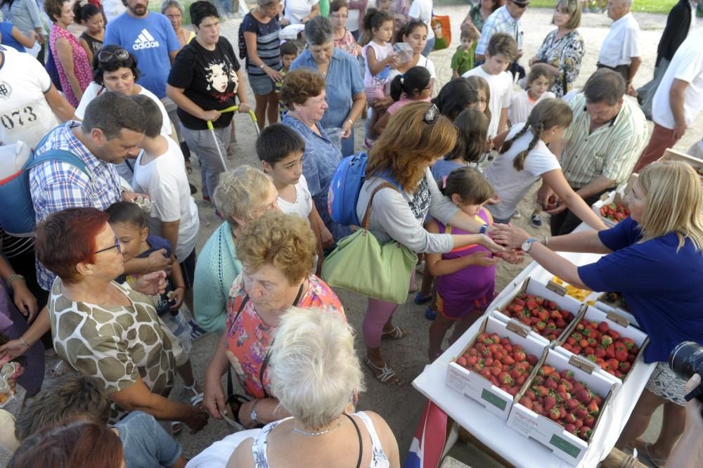 Fiesta de la Fresa 2016 en Eirís