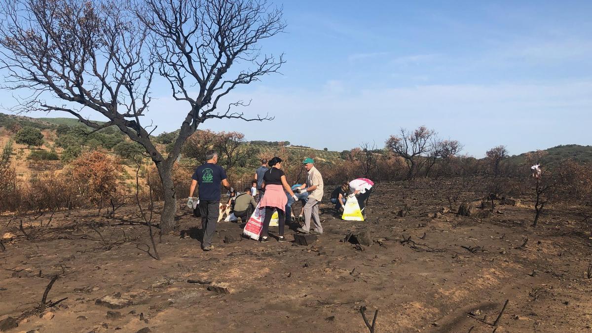 Los vecinos recogen basura de la zona incendiada.