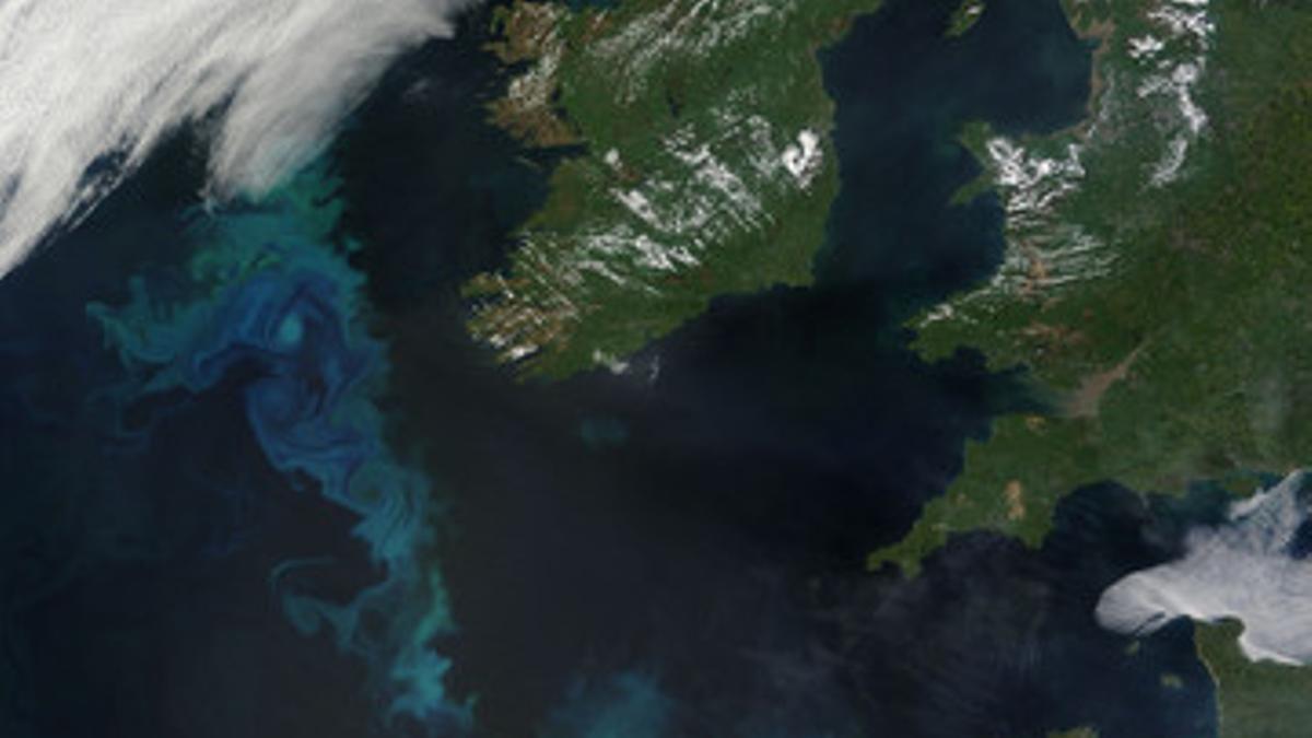 Gran florecimiento de fitoplancton en el Atlántico europeo, visto desde el espacio.