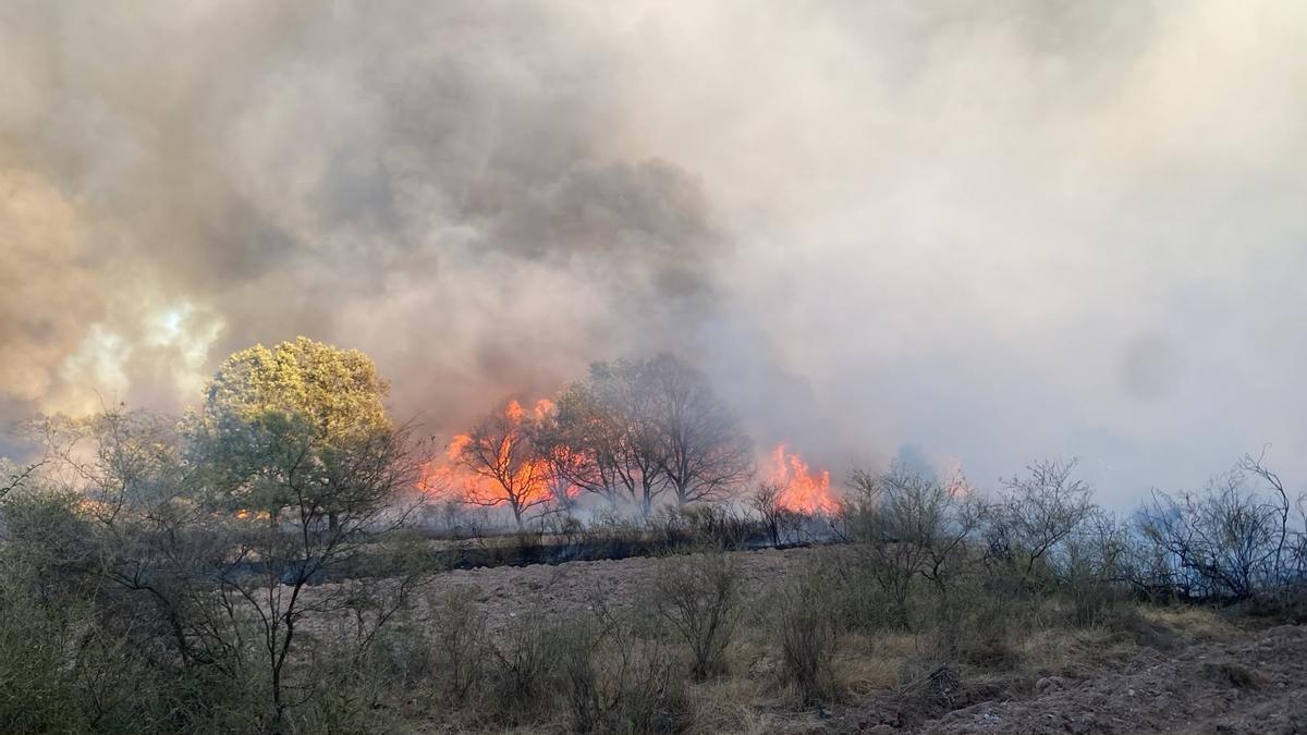 GALERÍA | Incendio forestal en Rábano de aAliste GALERÍA | Incendio forestal en Rábano de aAliste