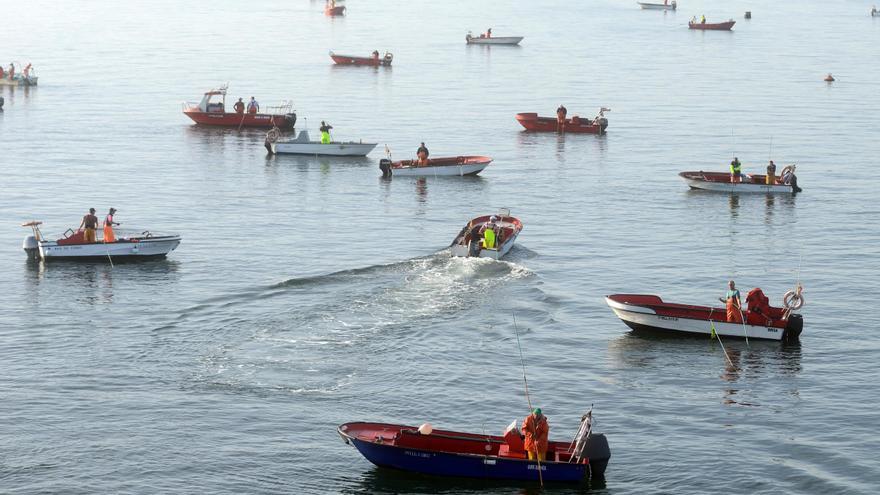 Los precios salvan la Navidad en el marisqueo antes de un 2024 cargado de incertidumbres