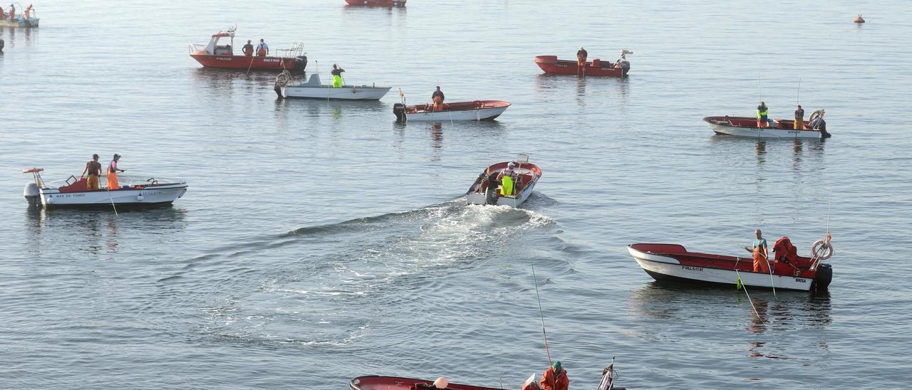 Embarcaciones de marisqueo a flote en la ría de Arousa.