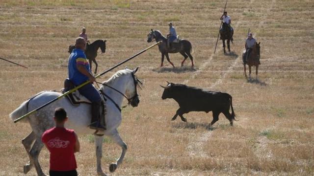 Encierro campero celebrado en Coreses, en una edición pasada. | J. L. F. (Archivo)