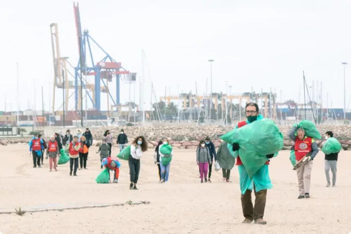 Una de les neteges realitzades en la platja de Pinedo