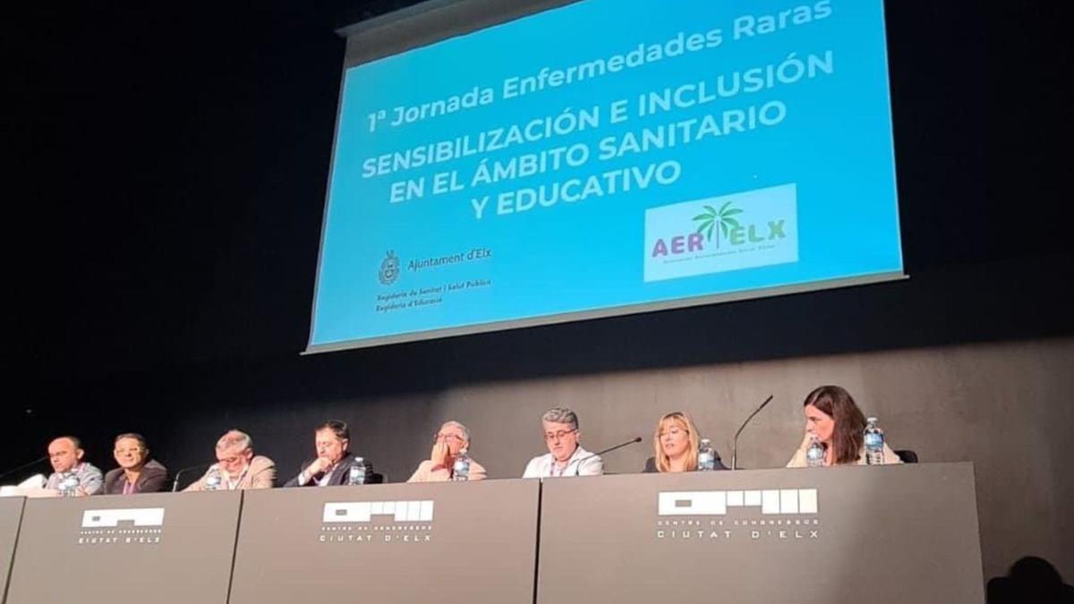 Un instante de la I Jornada de Enfermedades Raras organizada por el Ayuntamiento de Elche. | INFORMACIÓN