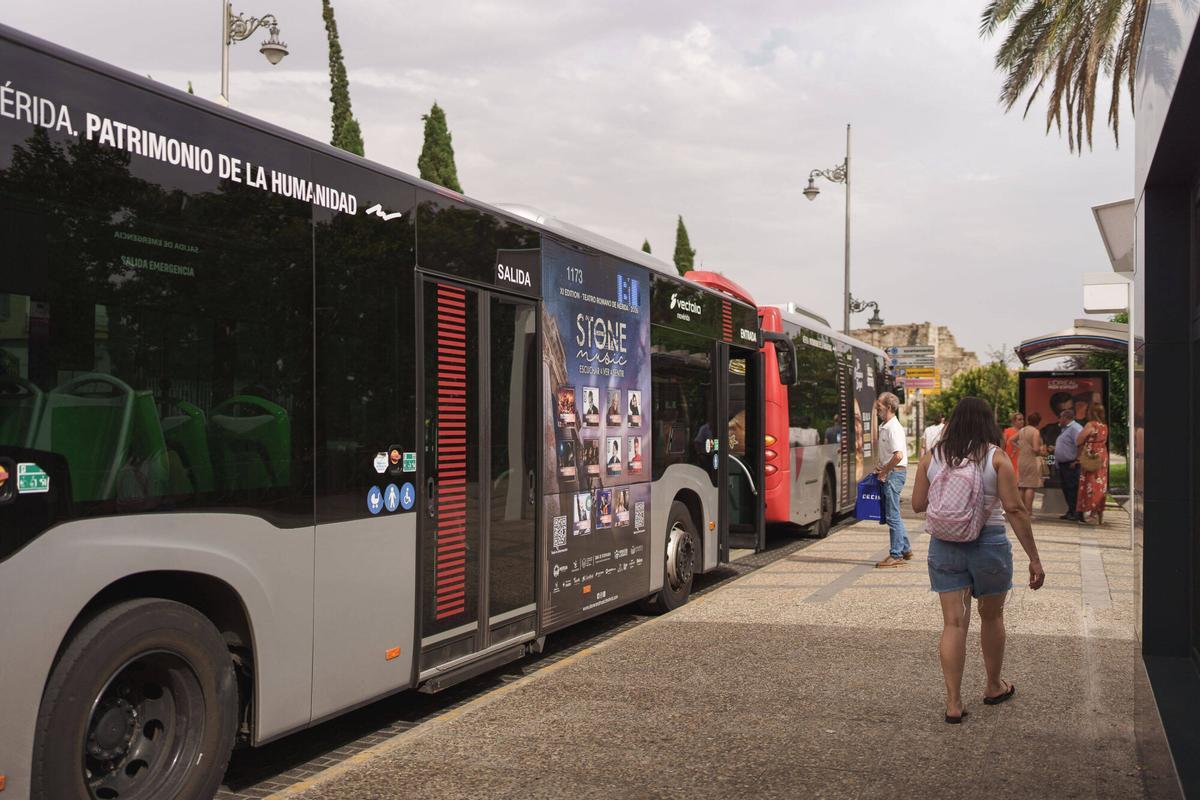 Fotogaleria | El autobús urbano en Mérida