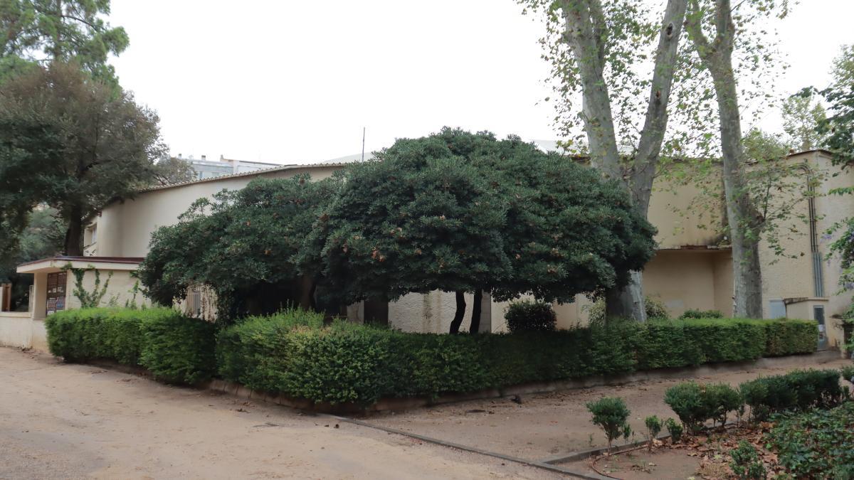 Las obras eliminarán los edificios anexos al emblemático edificio.