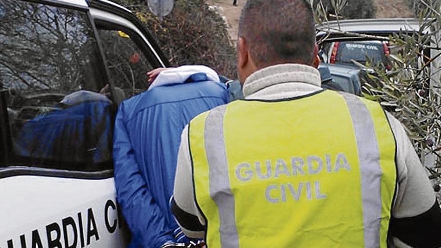 Agentes de Madrid y Aragón, en el control del robo de aceitunas en Almendralejo