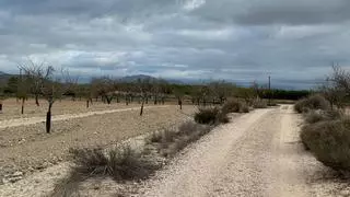 Los ecologistas rechazan el "despropósito" de instalar un camping en Sierra Escalona
