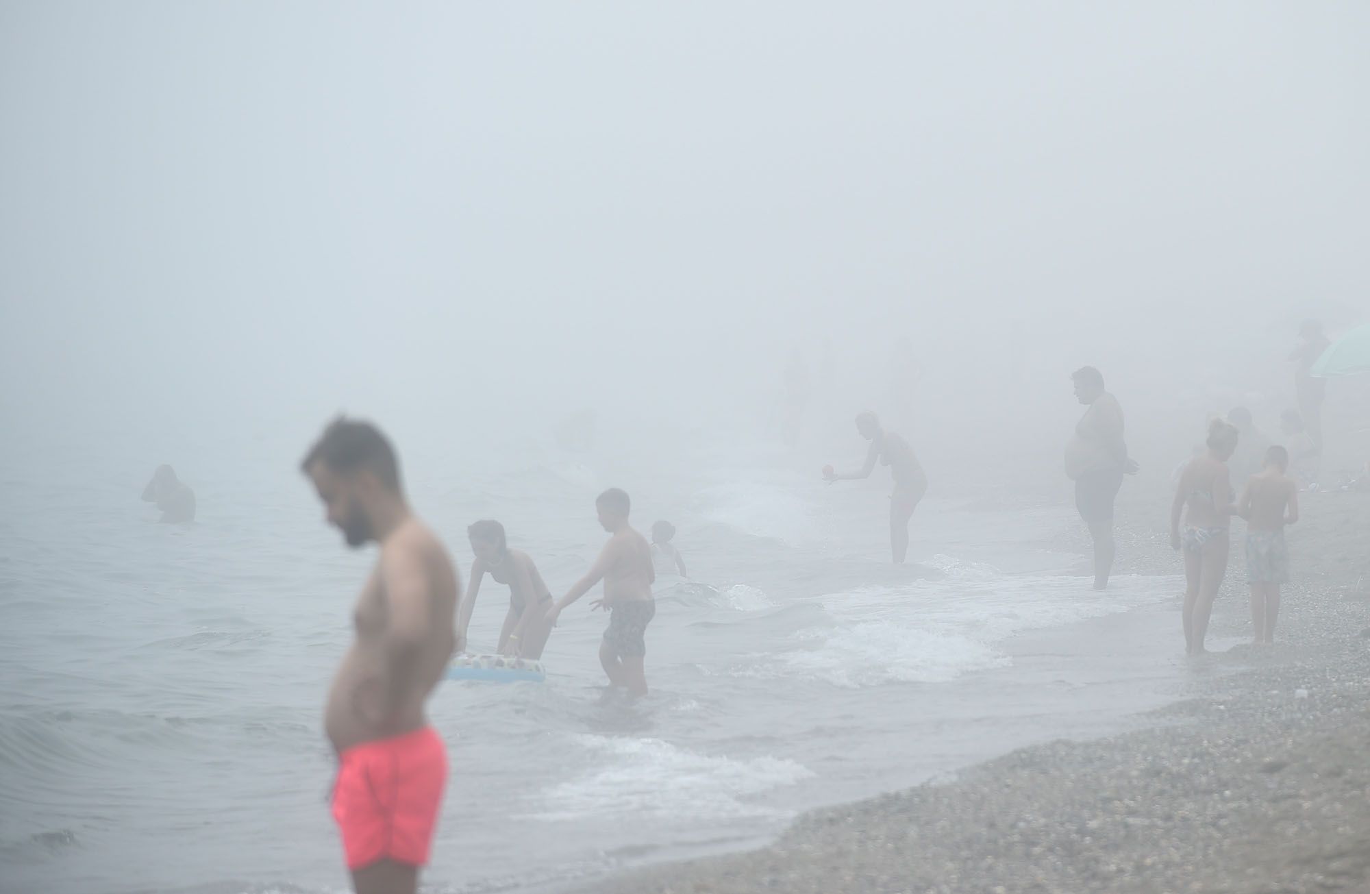 El taró cubre el litoral de Málaga