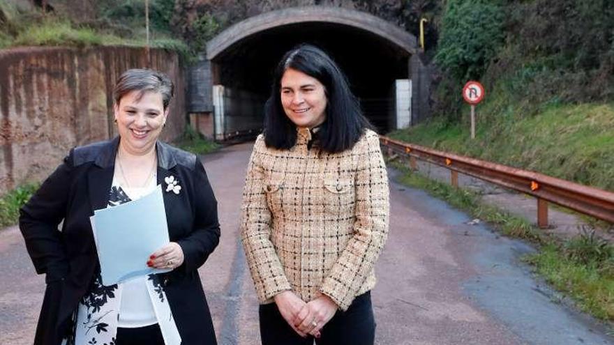 La senadora Rosa Domínguez de Posada, a la izquierda, y Carmen Fernández, portavoz de infraestructuras de Foro en la Junta General del Principado, ante el túnel de Aboño.