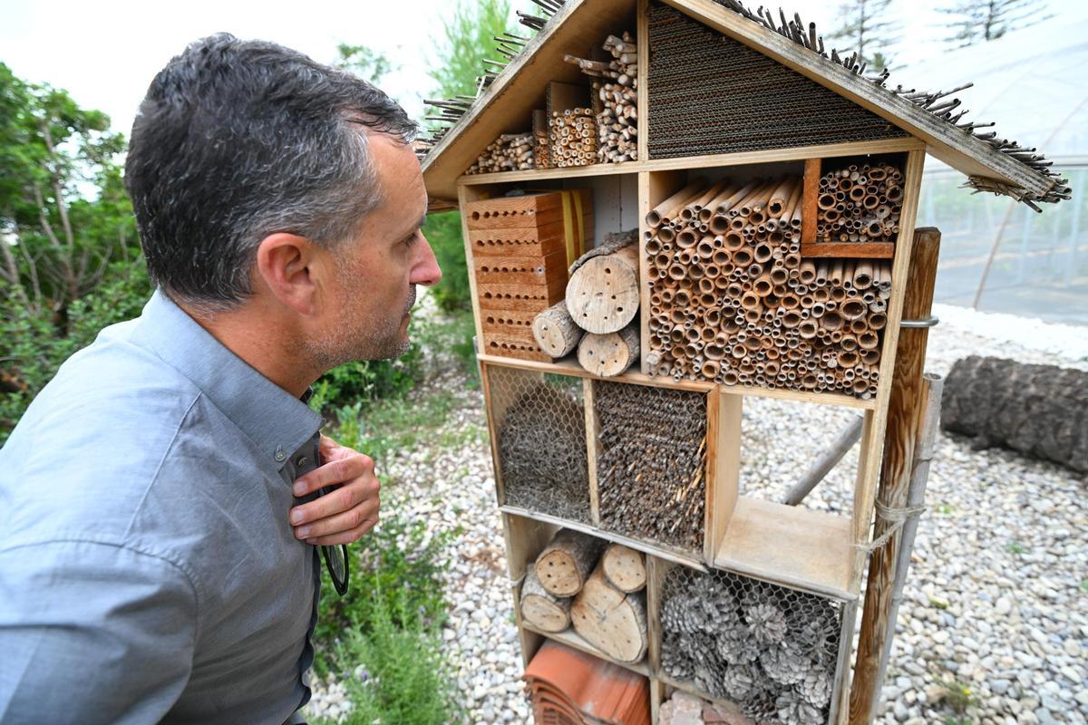 Refugio de insectos polinizadores en la Estación Experimental de Elche