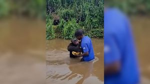 El tierno reencuentro entre un chimpancé y su cuidador