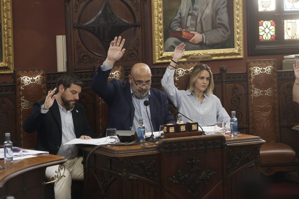 La regidora Lourdes Roca, durante un pleno de Cort esta legislatura.