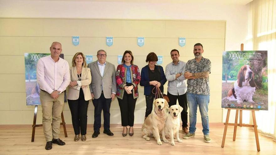 Torremolinos reúne a más de 1.500 perros de 200 razas este fin de semana en Expocan